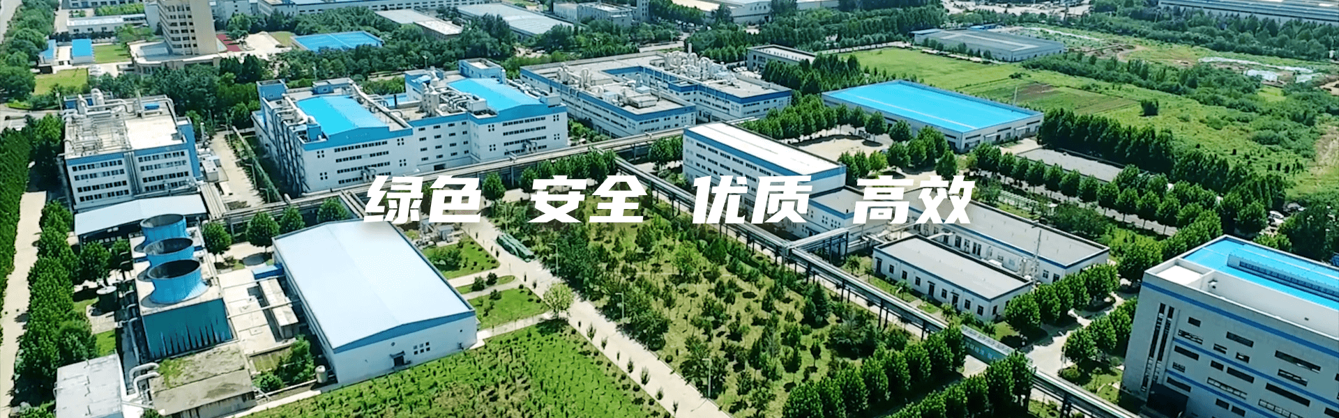 畜牧業勝利生物：建設一流企業 打造一流工廠